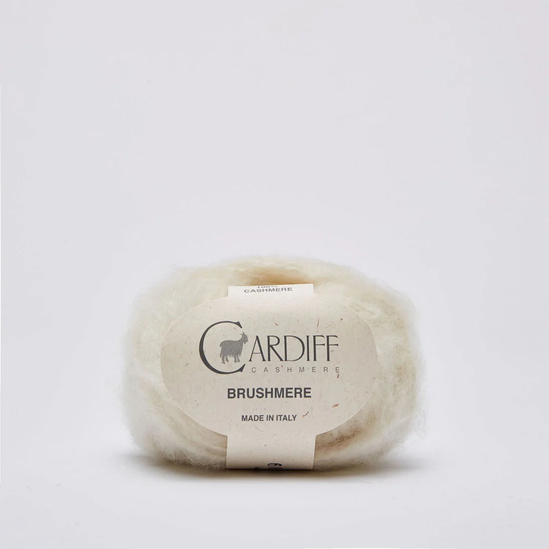 Cardiff - BRUSHMERE (pre-ordr)